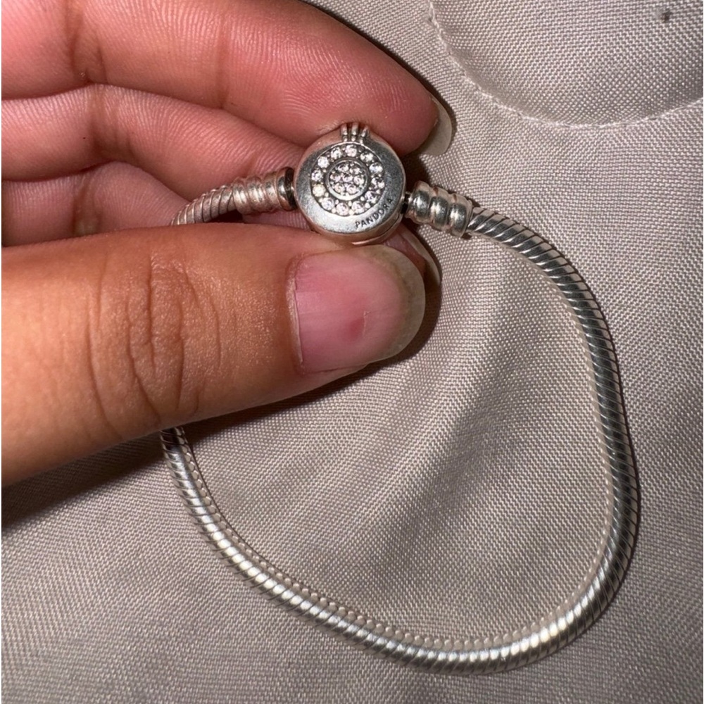 Pandora Snake Chain Bracelet
